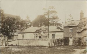 The tree is on the left  of this photo of the old village school early 1900s
